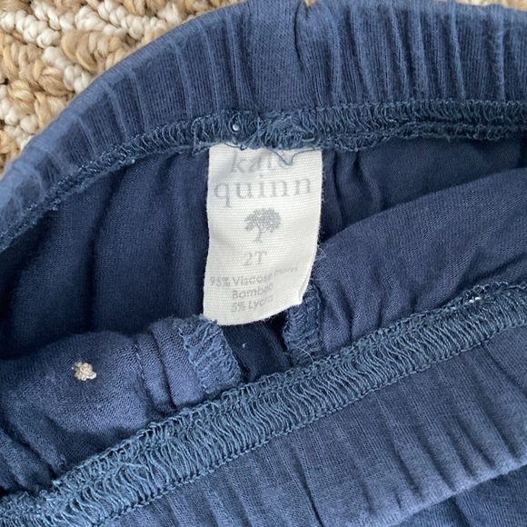 Kate Quinn Bamboo Straight Leg Pants with front button detail - Picture 5 of 6